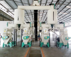 Ring Die Pellet Mill